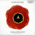 Natural World (Kevin Sunderson Remixes)