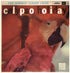 Calypso Holiday