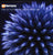 Free As The Morning Sun (Scumfrog Mix)